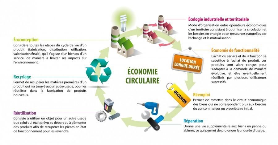 20 exemples de transition vers une économie circulaire dans le secteur Luxe  - Adone Conseil